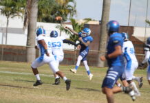 Tubarões do Cerrado - Liga BFA