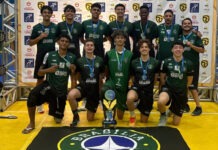 Brasília Vôlei