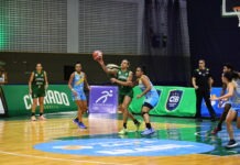 Cerrado Basquete