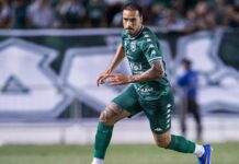 David Lucas exalta força do elenco e mira sequência do Gama na Série D David Lucas