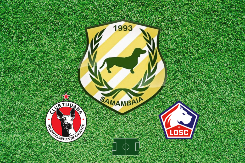 Tras el nuevo escudo, Samambaia se incorpora a un selecto grupo de clubes
