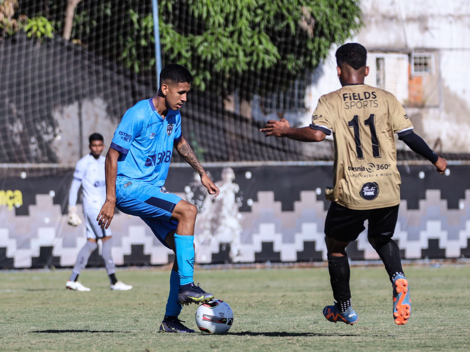 CBF divulga grupos e tabela do Brasileirão Feminino A2 ~ O Curioso do  Futebol