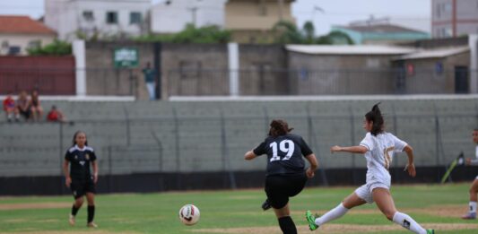 Vamos ao estádio? Brasileirão Feminino e Série D movimentam DF